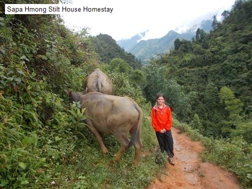 Cảnh quan Sapa Hmong Stilt House Homestay