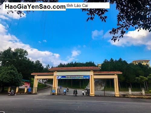 Danh Sách 10 Trung tâm, Cơ sở giáo dục P. Bình Minh, TP. Lào Cai, T. Lào Cai