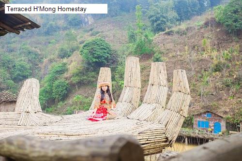 Terraced H‘Mong Homestay
